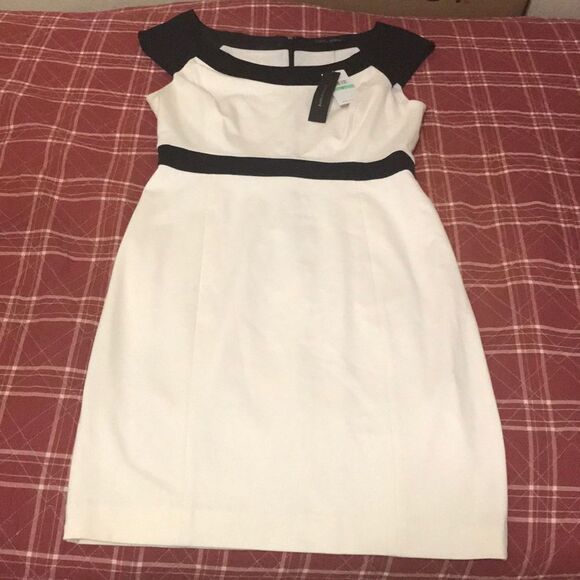 Cynthia steffe black and off white body con dress size 8 new with tags - Picture 4 of 10